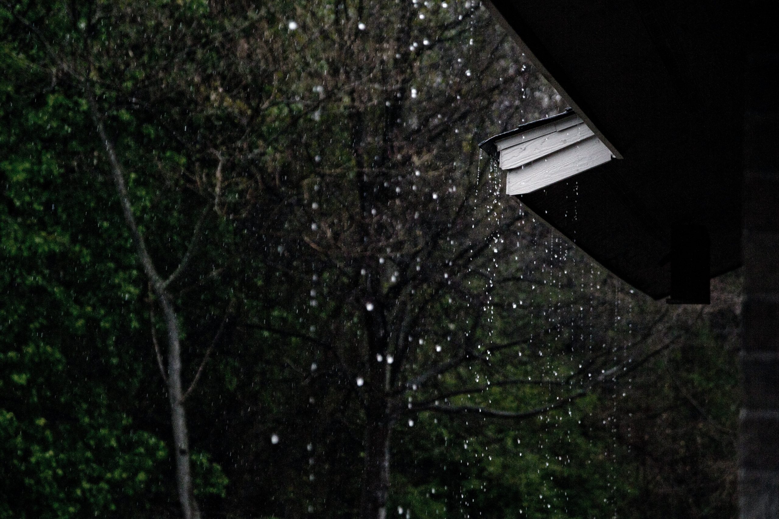 The April Rain – Adya Chauhan