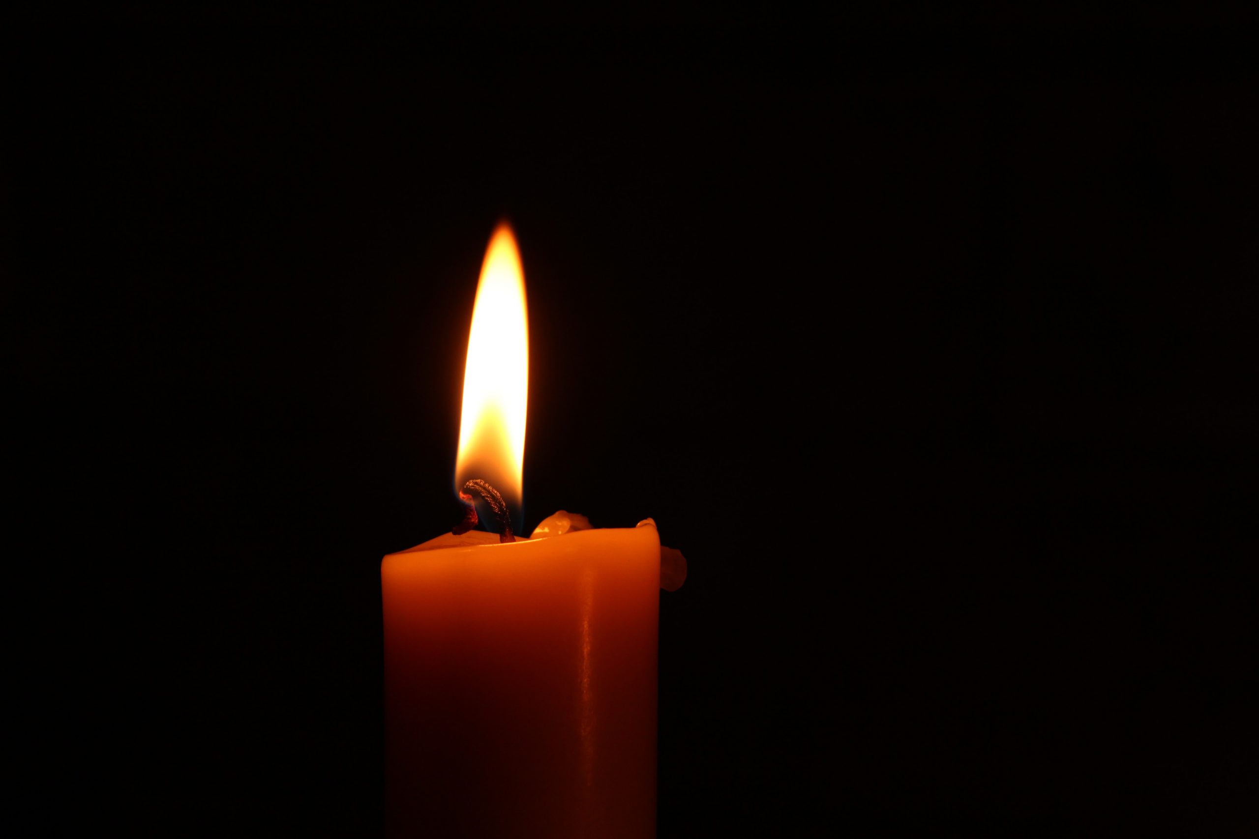 The Candle of Night – Advaita Tyagi